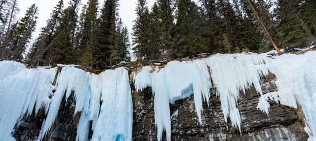 Escursione alle cascate congelate del Johnston Canyon
