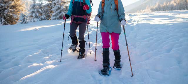 Passeggiata con racchette da neve a Banff