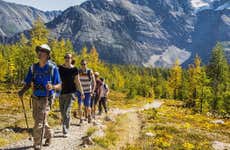 Hiking Tours in Banff