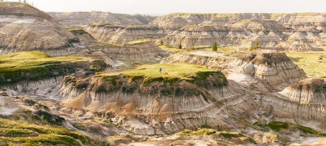 Excursión a Drumheller y las Badlands