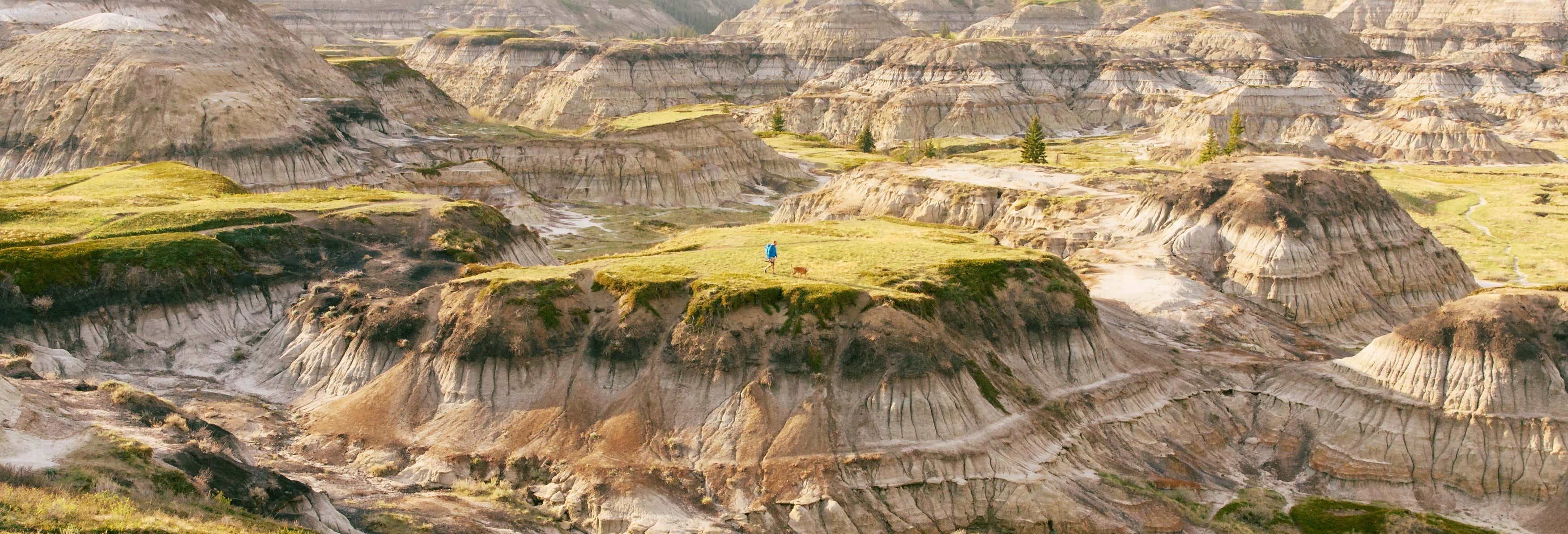 Excursión a Drumheller y las Badlands