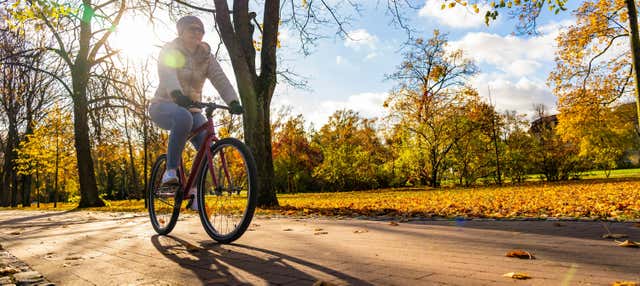 Tour di Edmonton in bici