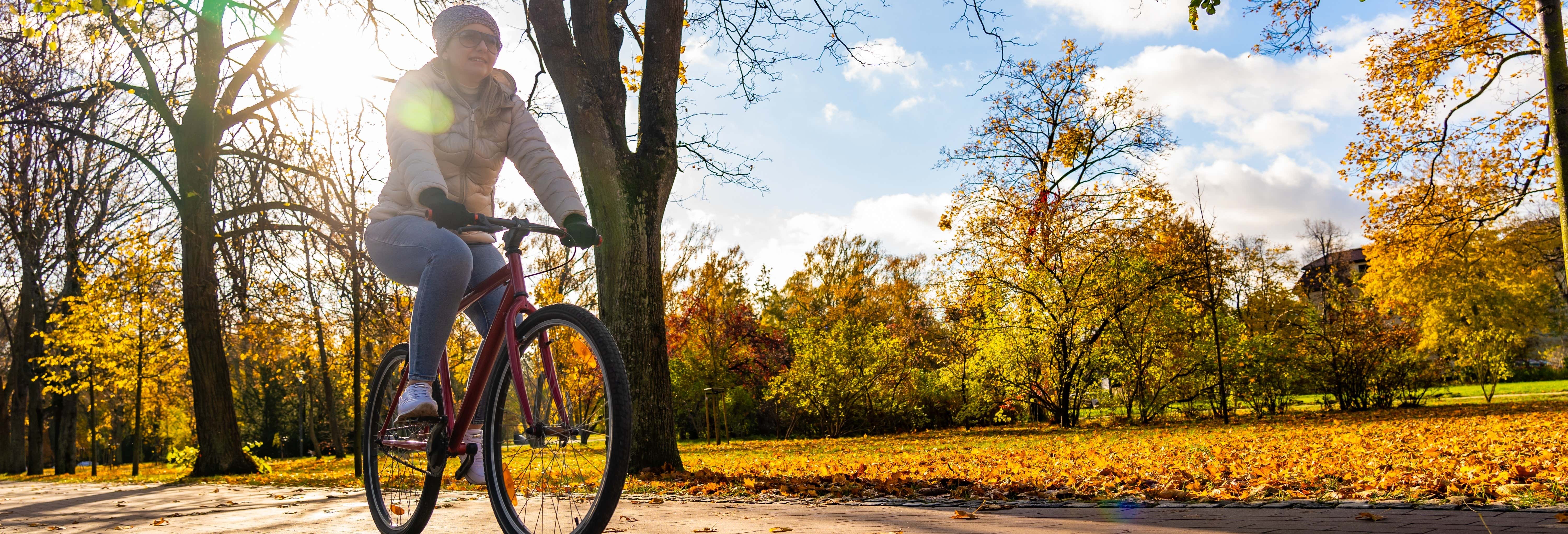Tour di Edmonton in bici