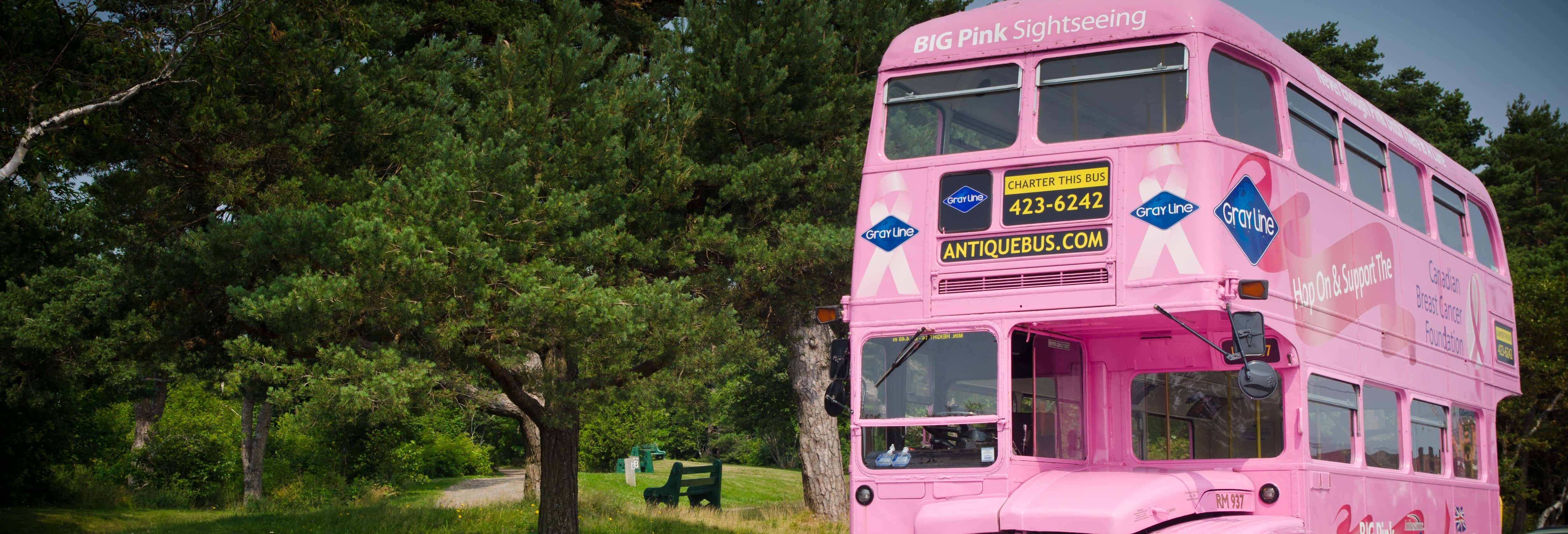 Autobus turistico di Halifax