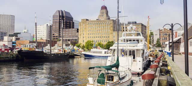 Tour di Halifax in autobus anfibio