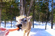 Omega Park Wilderness Safari
