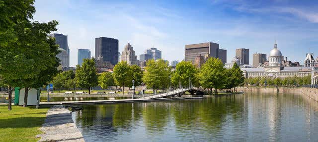 Tour panorâmico por Montreal