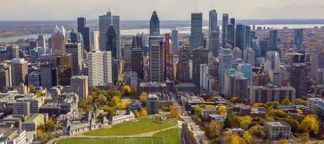 Tour privato di Montréal