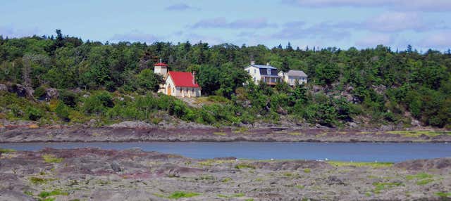 Escursione all'isola Grosse in barca