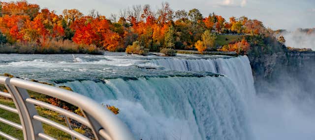 Escursione alle Cascate del Niagara