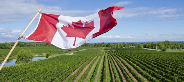 Escursione a Niagara-on-the-Lake + Fabbrica di cioccolato e cantina