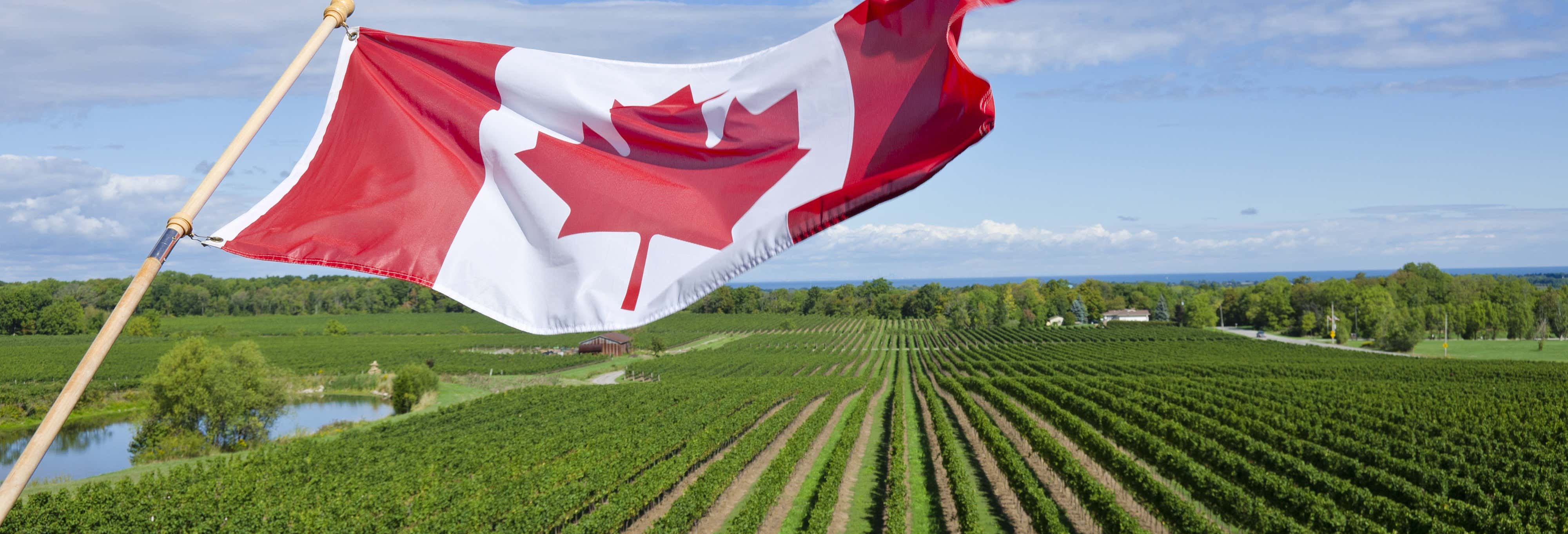 Escursione a Niagara-on-the-Lake + Fabbrica di cioccolato e cantina