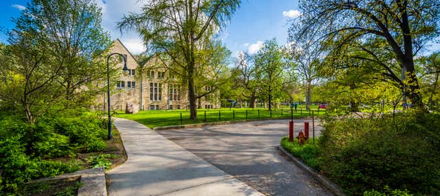 Visita guidata del Discovery District