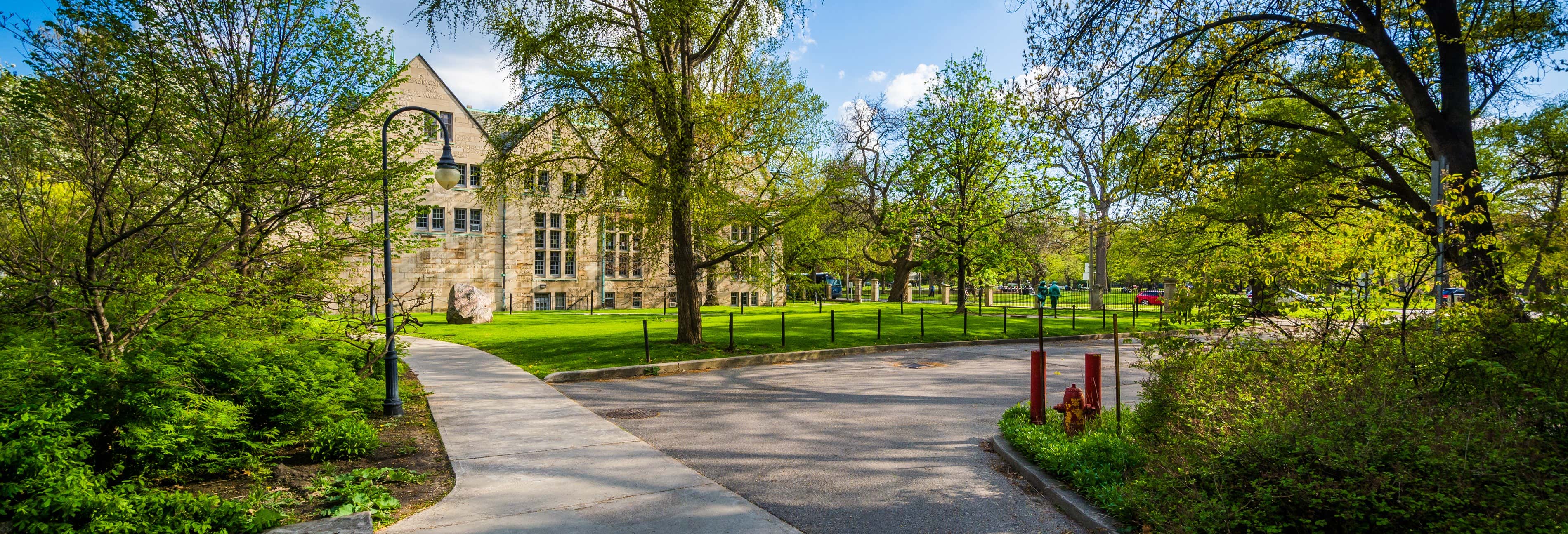 Visita guidata del Discovery District
