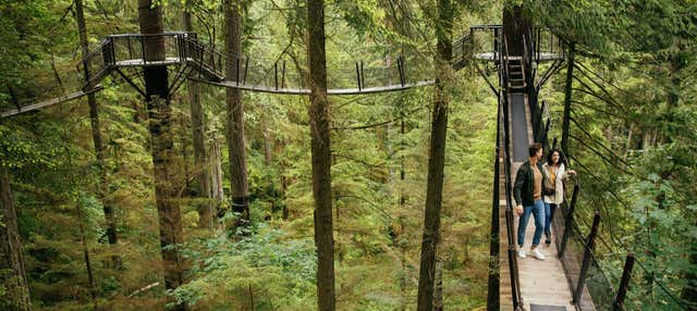 Biglietti per Capilano Suspension Bridge Park