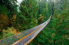 Capilano Suspension Bridge Park Tickets