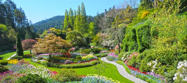 Excursión privada desde Vancouver