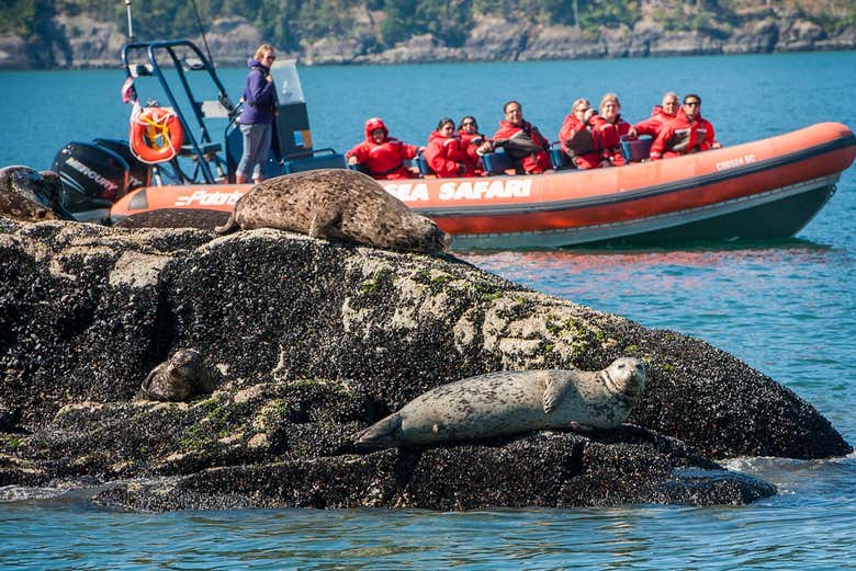 Paseo en barco por el fiordo Howe Sound