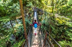 Grouse Mountain Day Trip
