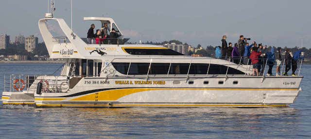 Giro in barca nello stretto di Juan de Fuca