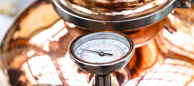 Visita alla distilleria Montis