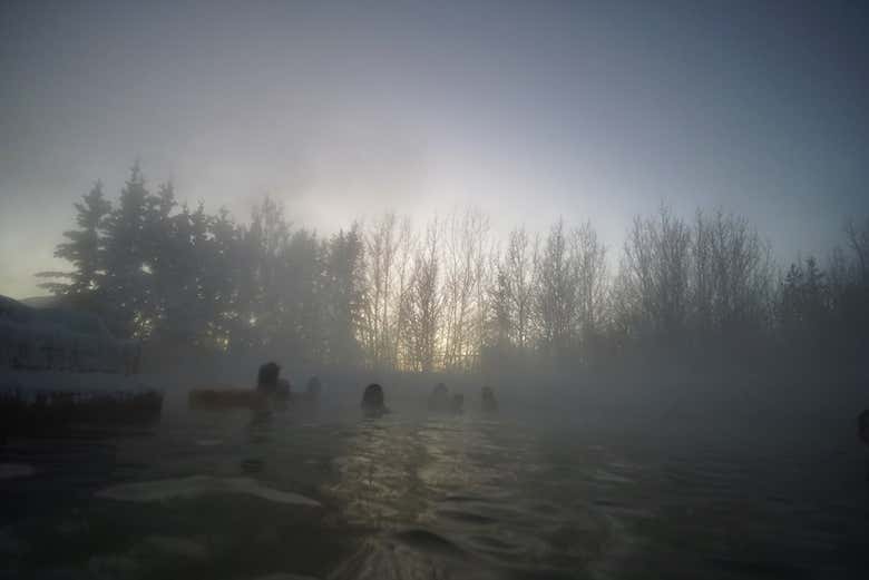 Imagen 5