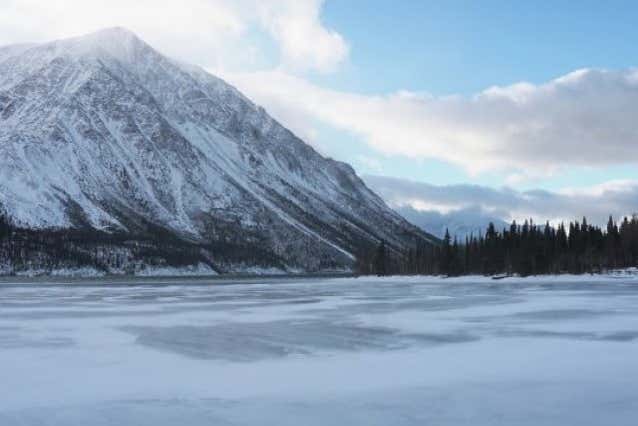 Kluane National Park Day Trip