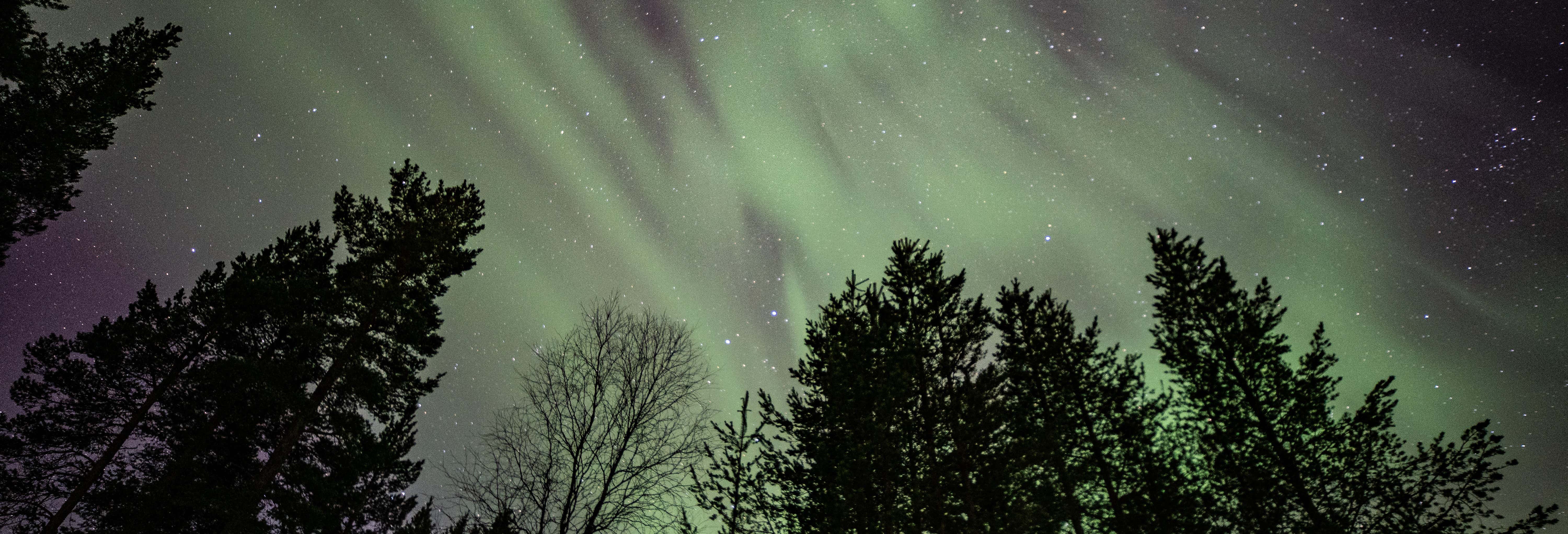 Tour de auroras boreales por Whitehorse en 4 días