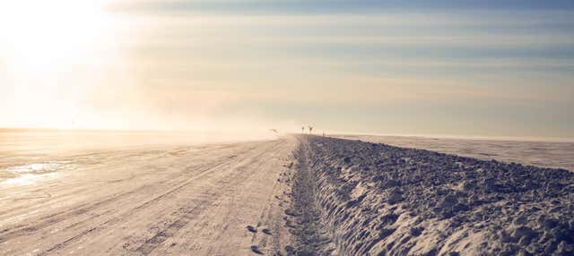 Tour della Ice Road di Yellowknife