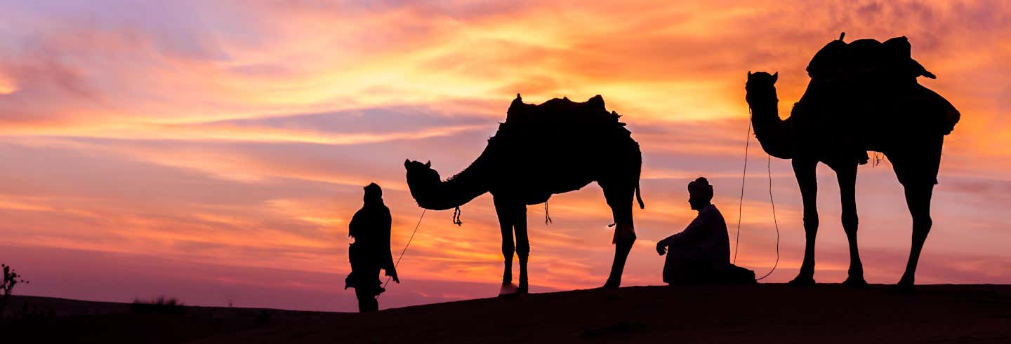 Desert Safari a Doha