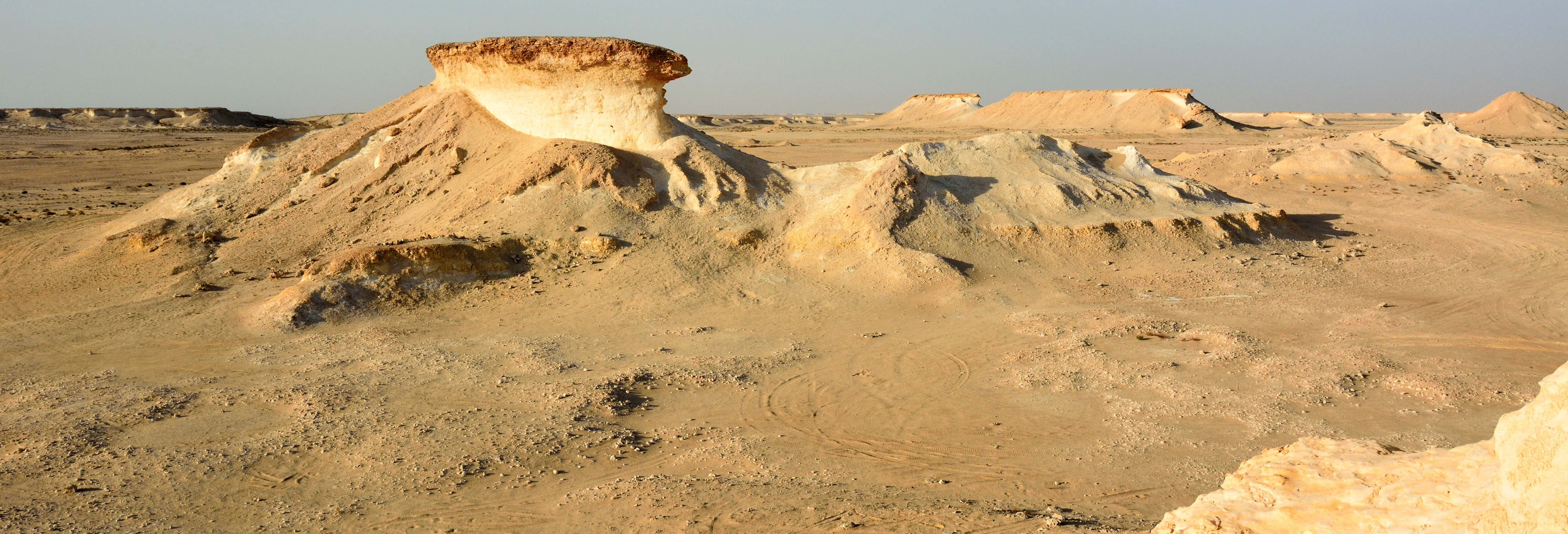 Escursione privata al deserto di Zekreet