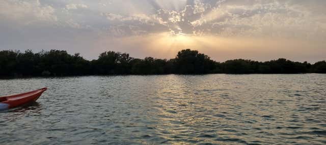 Tour della Riserva Al Thakhira in kayak