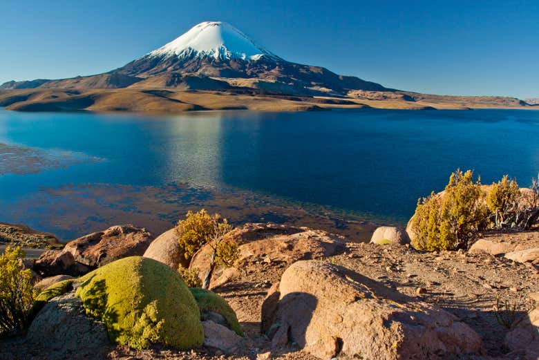 Imagen 2