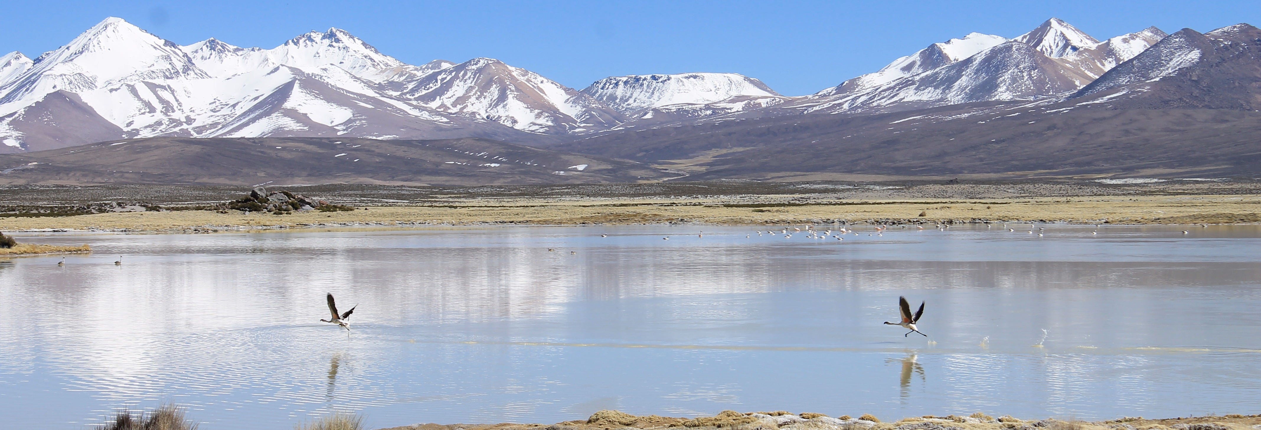 Aymara Region 6-day Tour