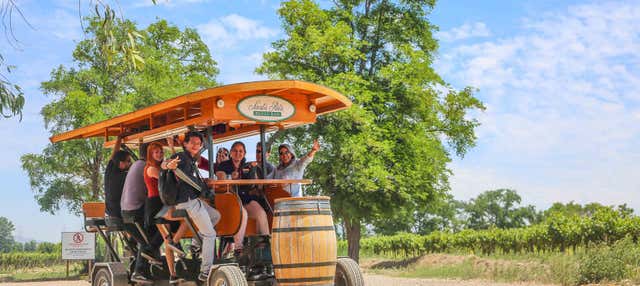 Tour privato della cantina Viña Santa Rita in pedal bar
