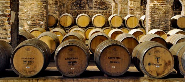 Visita della cantina Viña Santa Rita