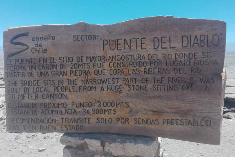 Imagen 5