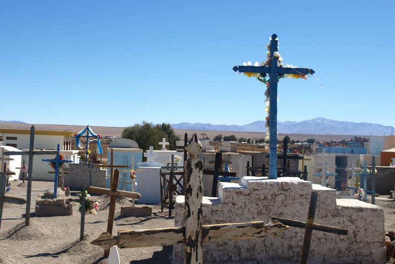 Imagen 5
