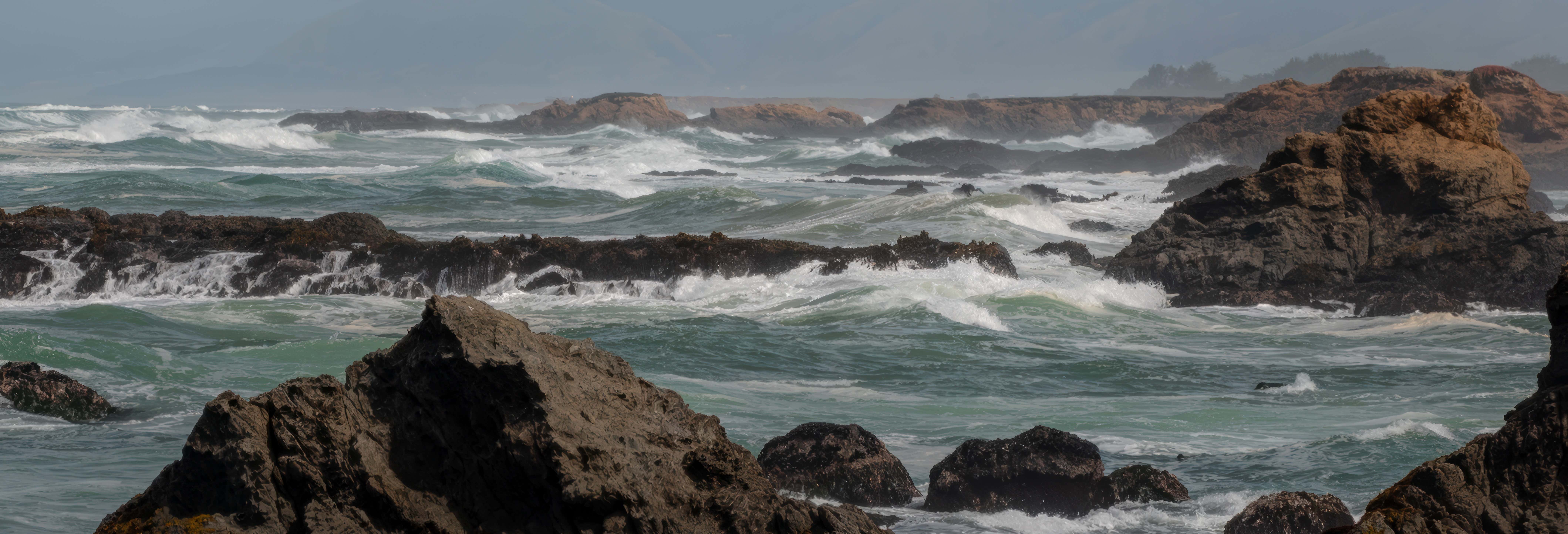 Giro in barca all'isola Chañaral con whale watching