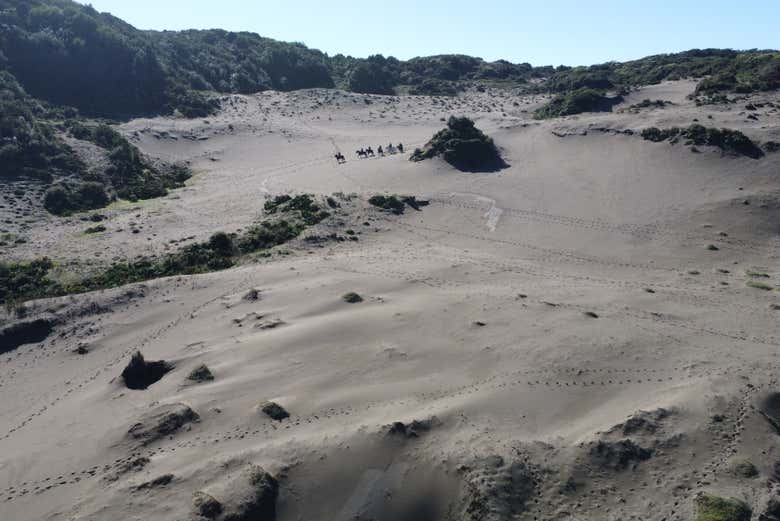 Imagen 2