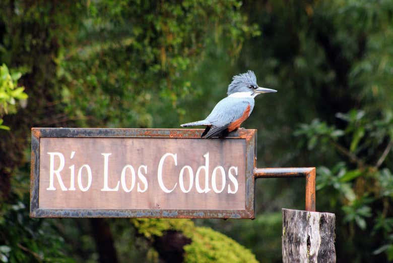 Imagen 5