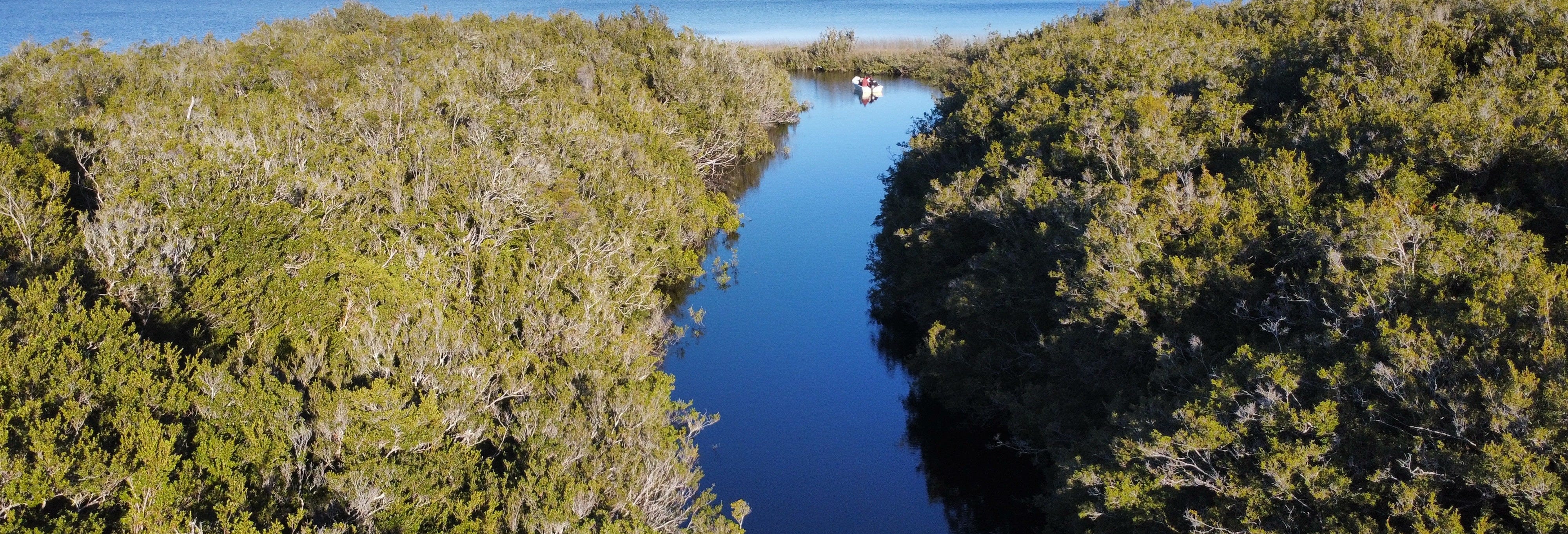 Tepuhueico Lake Boat Ride