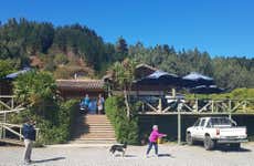 Ninhue & Buchupureo Excursion
