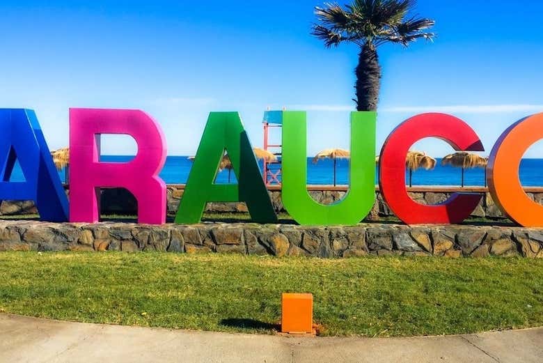 Excursión al golfo de Arauco y sus playas desde Concepción