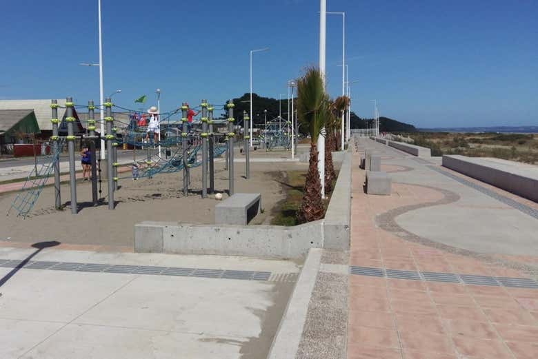Imagen 8