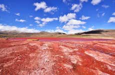 Excursión a la laguna Roja