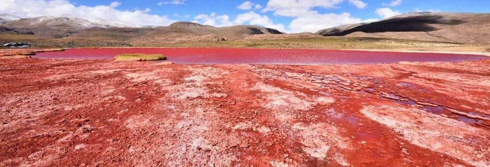 Red Lagoon Day Trip