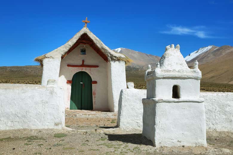 Imagen 7