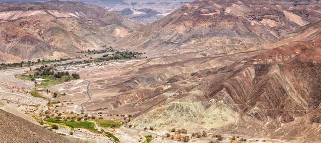 Tour del vino, la miel y los destilados por el desierto de Tarapacá
