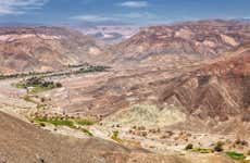 Tour del vino, la miel y los destilados por el desierto de Tarapacá